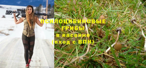 каннабис Абаза