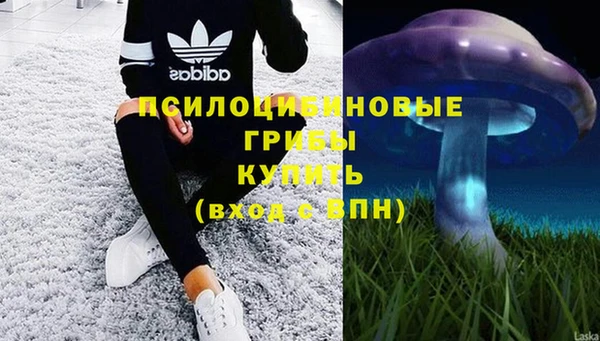твердый Алексеевка