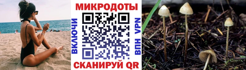Псилоцибиновые грибы Psilocybine cubensis  хочу   Бирюсинск 